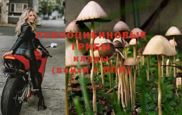 твердый Нягань