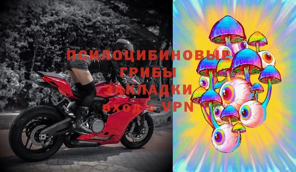 твердый Нягань