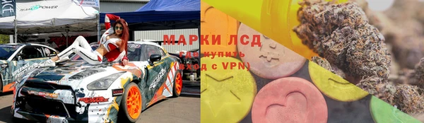 ПСИЛОЦИБИНОВЫЕ ГРИБЫ Осташков