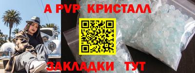 дмт Гай