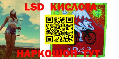 дмт Гай