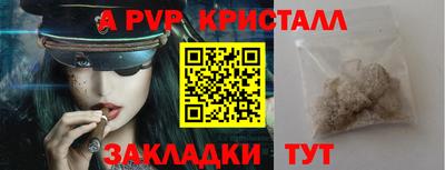 дмт Гай