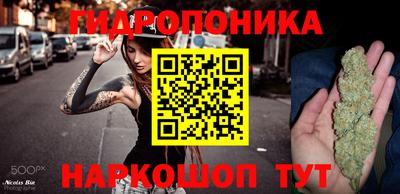 гидропоника Гагарин