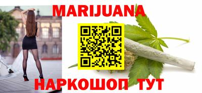 дмт Гай