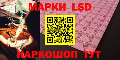 прущие грибы Гатчина