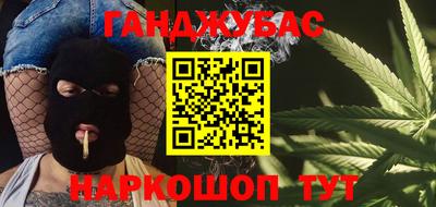 прущие грибы Гатчина