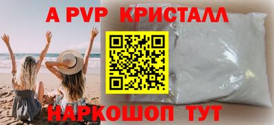 дмт Гай