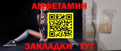 прущие грибы Гатчина