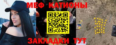 прущие грибы Гатчина