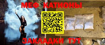 прущие грибы Гатчина