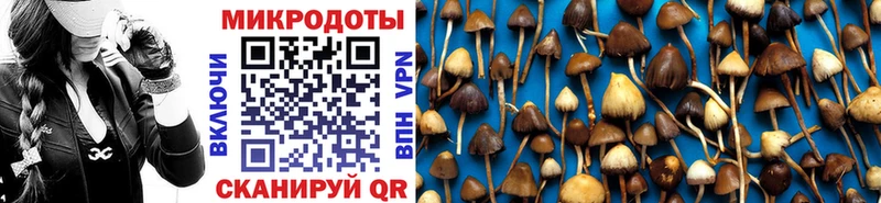 Псилоцибиновые грибы прущие грибы  Алапаевск 