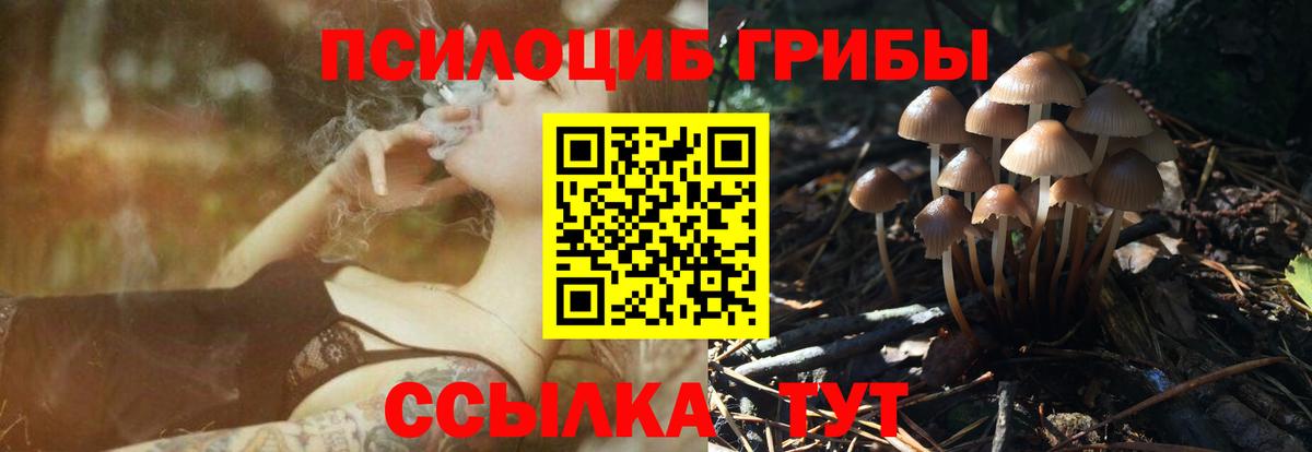 Галлюциногенные грибы Psilocybe  Алапаевск 